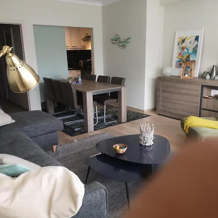 Luxurious T3 Garage, View On The Noordzee, 2-6 P Baby In Plein Center Apartment Ostend
